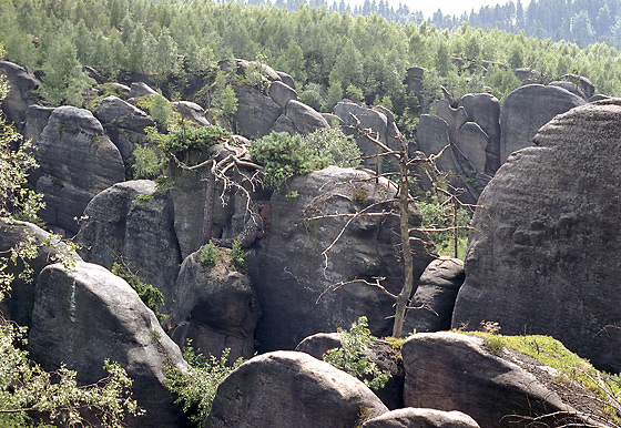 V Pskov rokli - men formt