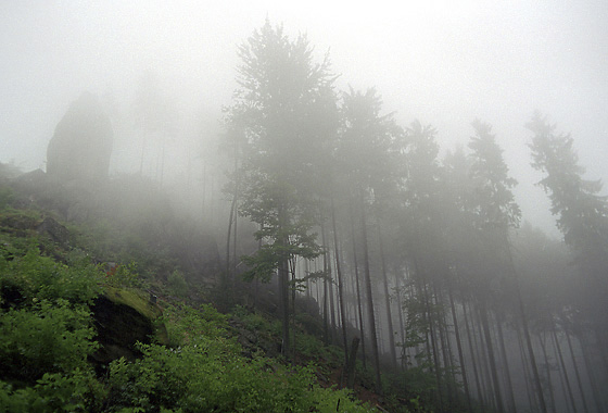 Foggy day - smaller format