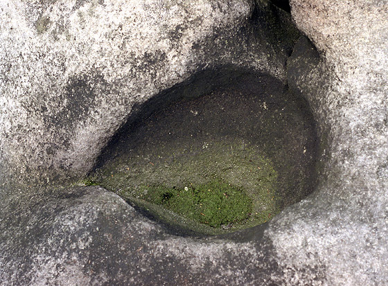 Rock dish on "Dragon lizard" - smaller format