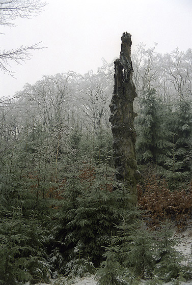 Pillar - smaller format