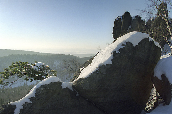 On "Boanov Hill" - smaller format