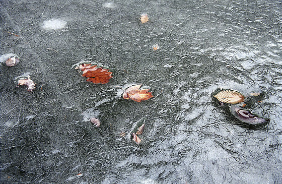 In the ice - smaller format