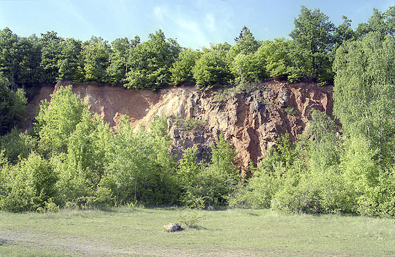 In the old limestone quarry - smaller format