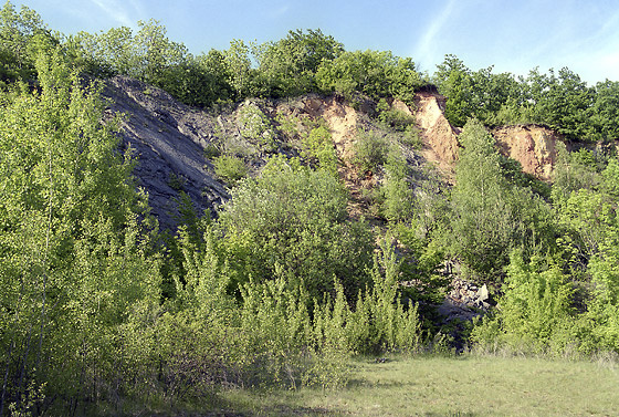 In the old limestone quarry - smaller format