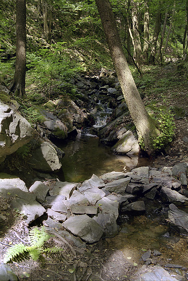 Creek near "Kletecko" - smaller format