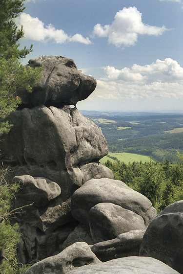 "Storks rock" - smaller format