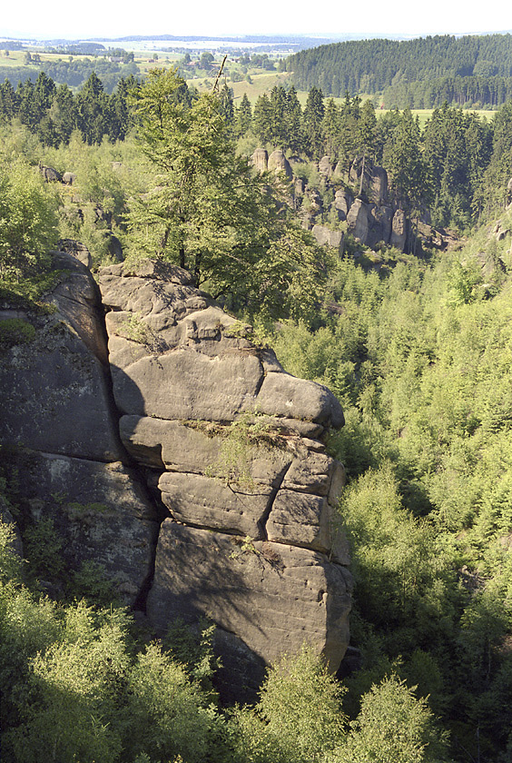 "Wasp gorge" - larger format