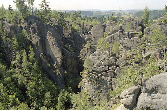 "Wasp gorge" - smaller format