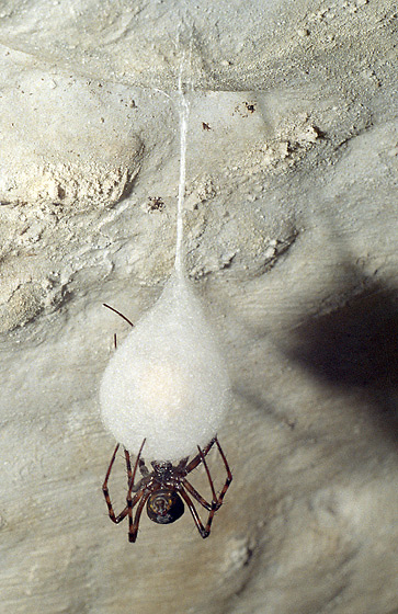 Cocoon weaving 13 - smaller format