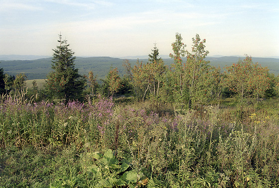 On the "erlich" hill - smaller format
