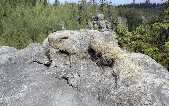 In the "Cherry gorge" - smaller format