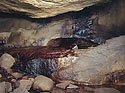 V jeskyni Macarát - hlavní odkaz