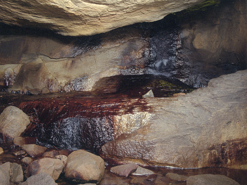 In the "Salamander" cave - larger format