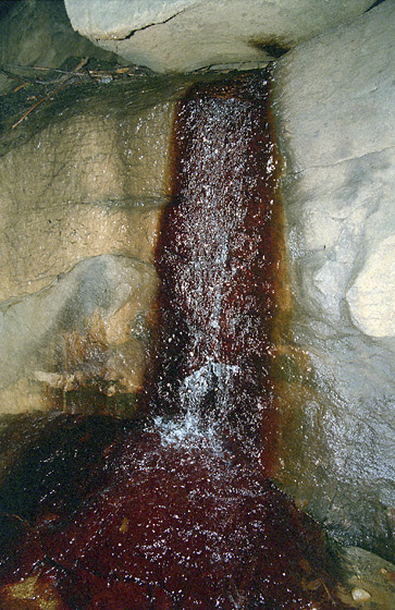 In the "Salamander" cave - smaller format