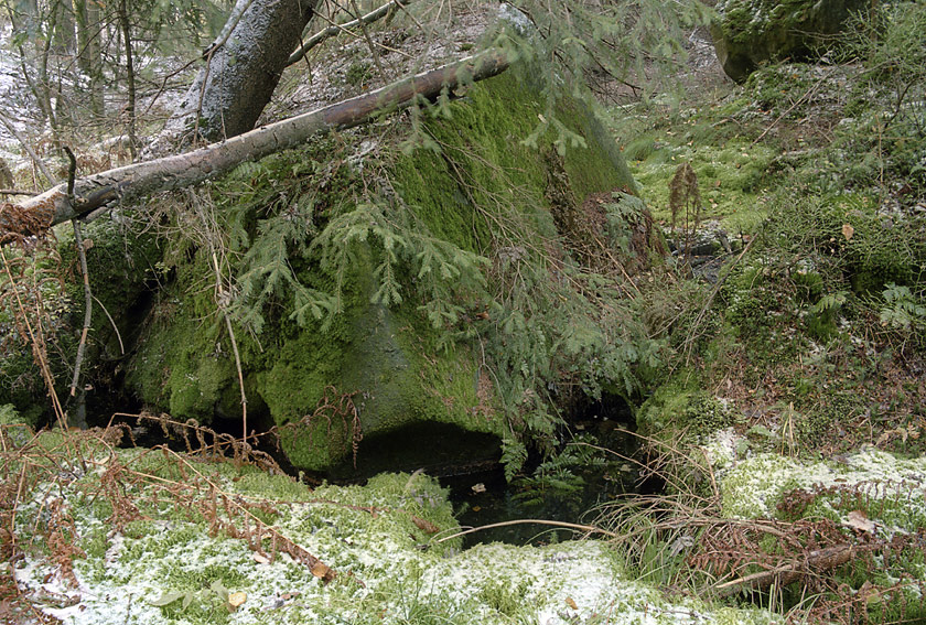 In the gorge - larger format