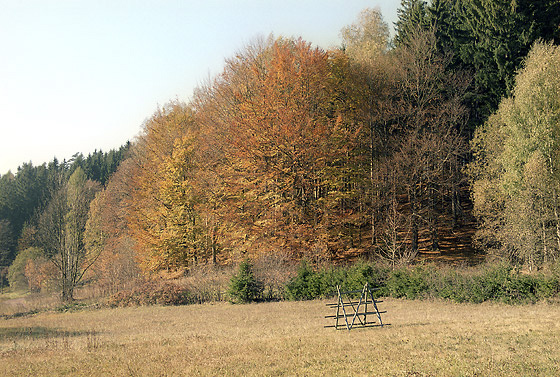 In "ein" - smaller format