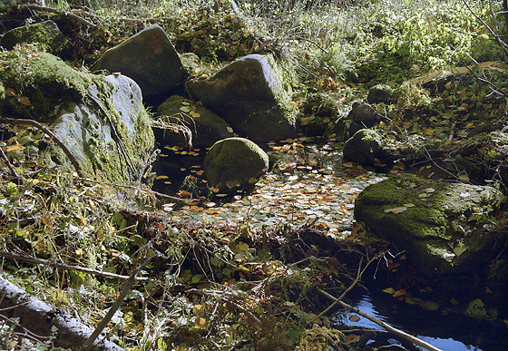 Little lake - smaller format