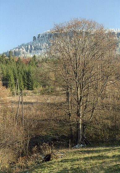 In "Pasterka" - smaller format