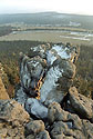 On the southern cliffs - main link