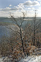 Oaks - main link