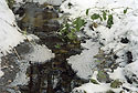 Icy creek - main link