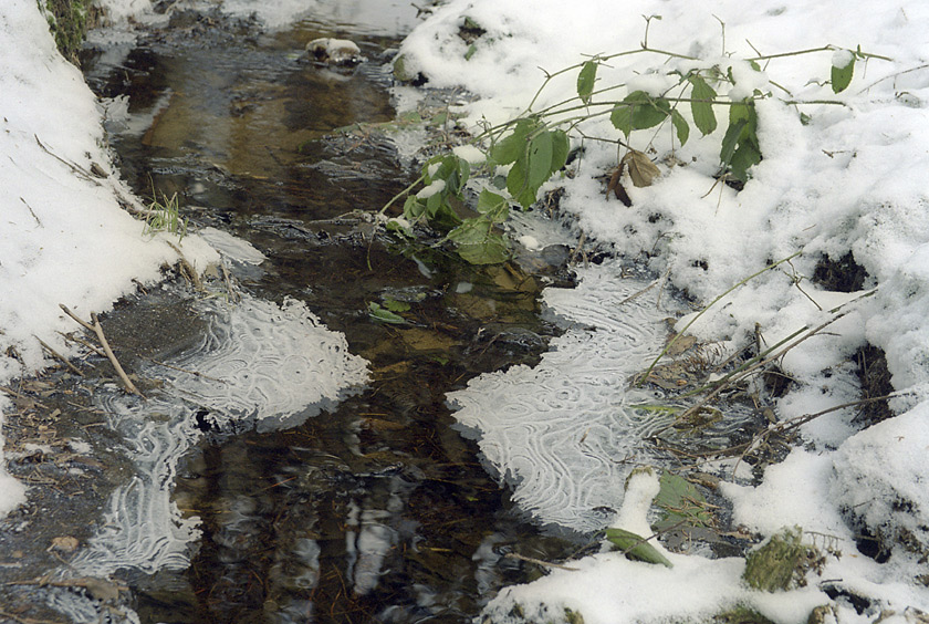 Icy creek - larger format