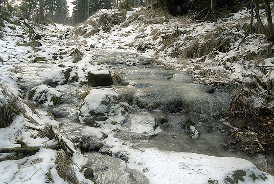 Icy path - smaller format