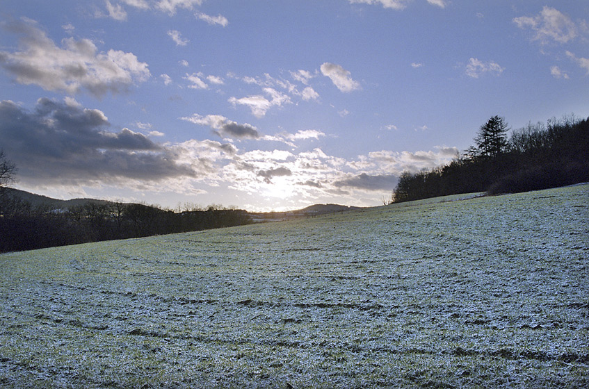 Sugared field - larger format