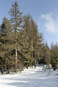 U Bukov hory - hlavn odkaz