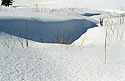 Snowdrift - main link