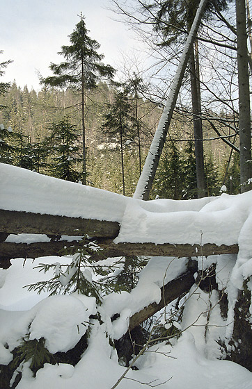 Over the "Wolf Gorge" - smaller format
