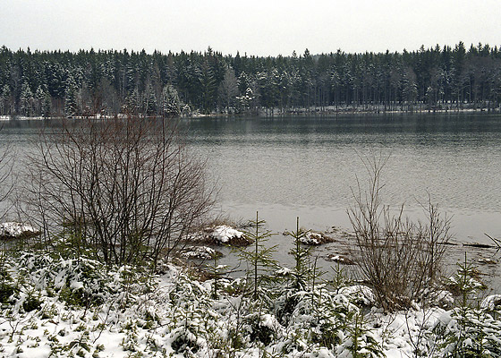 "Lz Lake" - smaller format