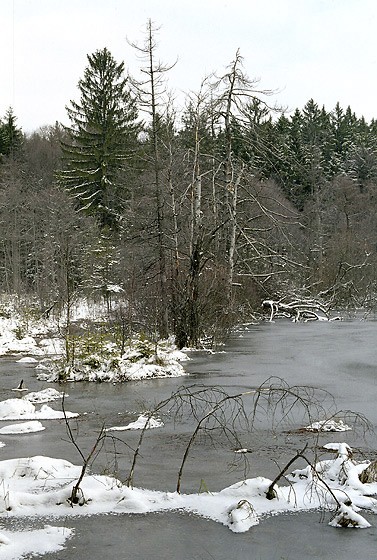Upper lakeside - smaller format