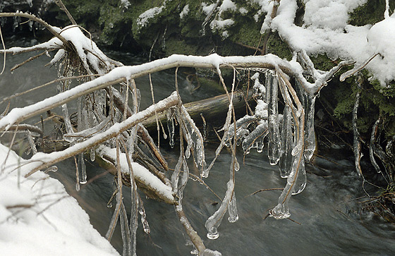 Icicles - smaller format