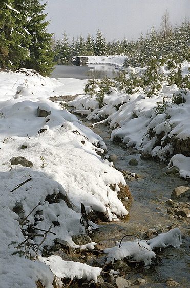 Creek - smaller format