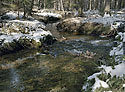 "Red Creek" - main link