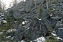 Detritus - main link
