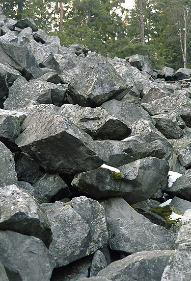 Detritus - smaller format