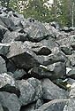Detritus - main link