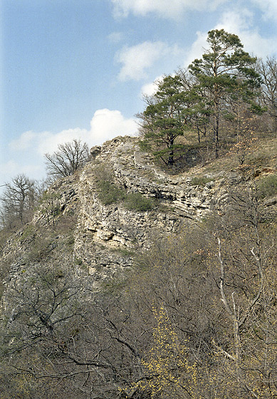 On the "Roll-hill" - smaller format