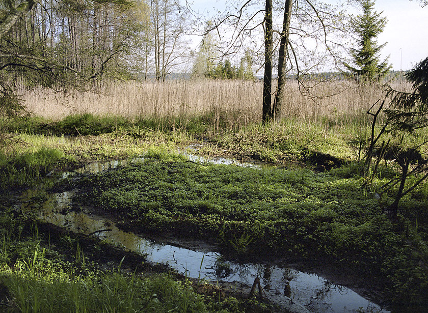 At "Upper Padr Pond" - larger format