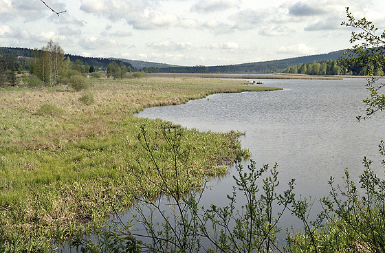 Dolej padrsk rybnk - men formt