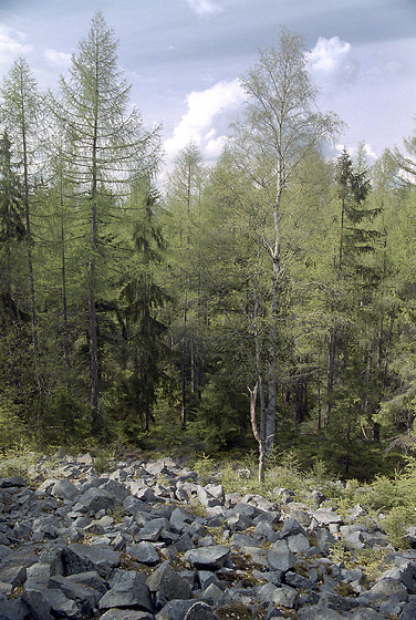 On the "Crown Hill" - smaller format