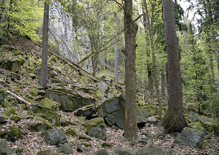 Under the rock - larger format