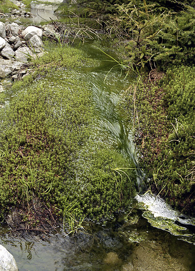 Micro-waterfall - smaller format