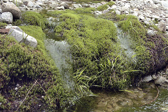 Micro-waterfalls - smaller format