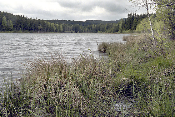 "Saw Lake" - smaller format