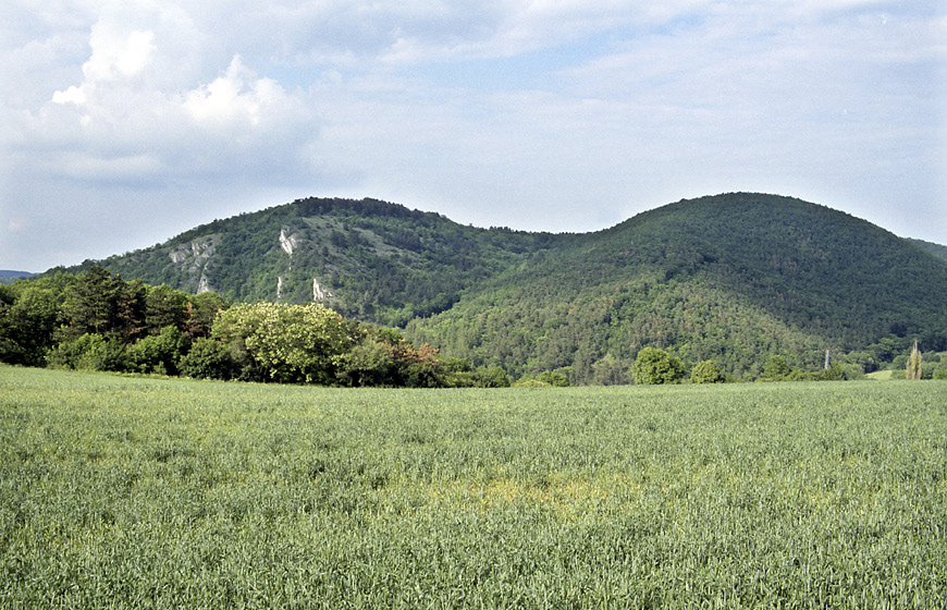 Kopce nad Kakem - vt formt