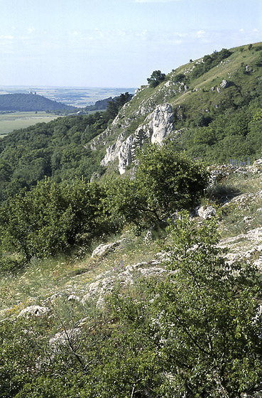 On "Plava" hills - smaller format