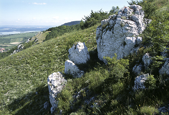 Rocks - smaller format